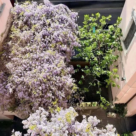 Blue Rain - Design Милан